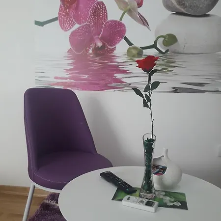Apartman 2s 아파트 비옐리나
